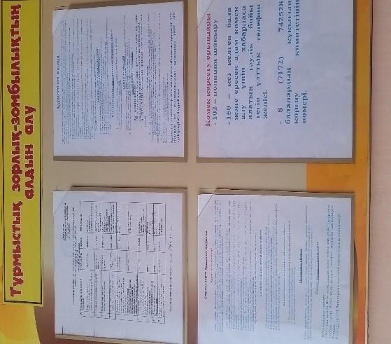 2018 жылғы 12-23 қараша аралығында «Зорлық-зомбылықсыз балалық шақ» республикалық  ақпараттық  науқанын (РАН) ұйымдастыру