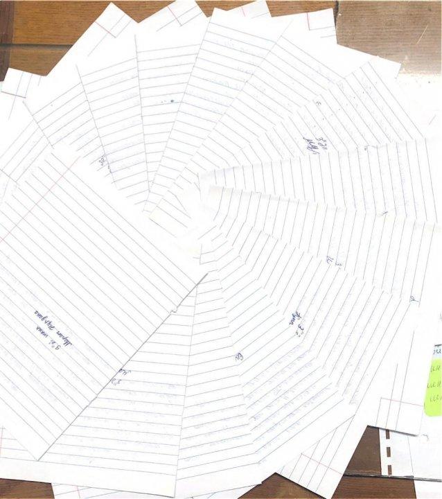 "Дәрумен денсалық кепілі" тақырыбында сыныптардан алынған диктант барысы